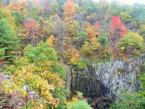 Photo of Overall Run Falls
