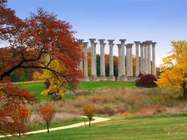 Image result for national arboretum